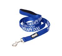 Thérapie Chien Bleu Code couleur 60 cm 120 cm 180 cm rembourré Laisse Prévient les accidents par avertissement autres de votre chien en Advance