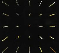 THERE EXISTED AN ADDICTION TO BLOOD