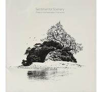 There Is Nowhere Else in the World by SENTIMENTAL SCENERY (2012-05-04)