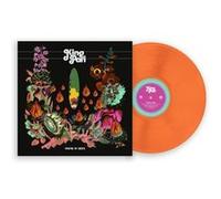 There It Goes Vinyle Coloré