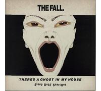 There's A Ghost In My House - Gatefold