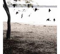 The Tallest Man On Earth There's No Leaving Now (Vinyl) 12" Album