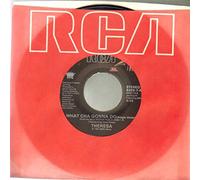 Theresa - What cha Gonna do (4 Versions, US, 1987/88) [Import]