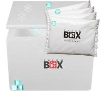 THERM BOX boîte en polystyrène 27W avec 4X Bloc réfrigérant pour glacière 27,9L Dimensions intérieures:37x26x29cm boîte de Transport conteneur Isotherme réutilisable