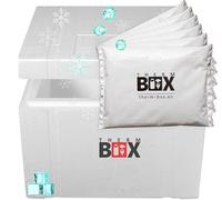 THERM BOX Boîte en polystyrène 53 W avec 6 blocs réfrigérants pour glacière de 53,2 l - Intérieur 47 x 38 x 29 cm - Boîte de transport isotherme réutilisable