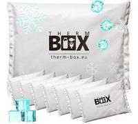 THERM BOX Lot de 8 blocs réfrigérants professionnels pour glacière - 450 g - Réutilisables - Blanc