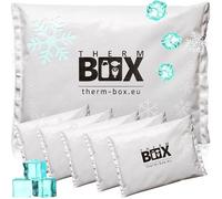 THERM BOX Pack de 6 blocs réfrigérants professionnels pour boîte isotherme - Grand - 450g - Réutilisables - Coussin de refroidissement - Pack de froid - Sac de refroidissement - Coussin de