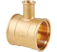 Thermador Té porte thermomètre 1'' 26x34, 15x21 pour montage de thermomètre à plongeur