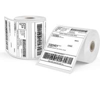 Thermal Labels,250/Roll x 2 Rolls,Shipping Label,Direct Thermal Labels Compatible with Label Printer,4x6 Label for Transport Packaging