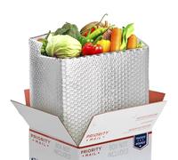 thermique Boîte Sacs 11 x 8,5 x 5,5 isolée Boîte Sacs 11 x 8 1/2 x 5 1/2 par Amiff. Lot de 10 Medium Usps Flat Rate Box Sacs. Qualité alimentaire. à soufflet en bas. Bande adhésive. Expédition, emballage d'expédition,