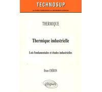 Thermique industrielle: Lois fondamentales et études industrielles