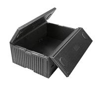 Thermo Future Box Glacière Pliable Noire en polypropylène expansé - 33 l - Peu encombrante