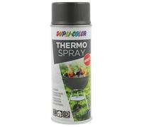 THERMO SPRAY gris fonte 600 °C