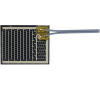 Thermo TECH polyester Feuille chauffante autocollant 12 V/DC, 12 V/AC 3 W Indice de protection IPX4 (L x l) 60 mm x 47 mm