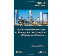 Thermochemical Conversion Of Biomass For The Production Of Energy And Chemicals