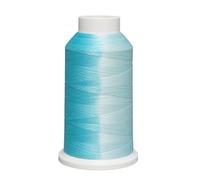 Thermochromisches Farbwechselgarn - 100g Temperaturabhängige Polyesterfaser | Reagiert Auf Wärme | Kreatives Bastelgarn Zum Häkeln, Stricken & Nähen Für Kleidung & Puppen, 150D/2