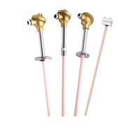 Thermocouple platine rhodium de type S WRP-130/230, résistant à un capteur température précis 1600 degrés(Dia16 length 800 insertion 650)