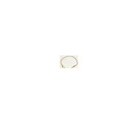 Dometic Outdoor Thermocouple d'origine 407144377 pour plaque de cuisson