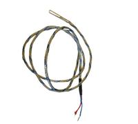 Thermocouple Sonde de fumée J en acier AISI 316 (Ref Int. 8006)