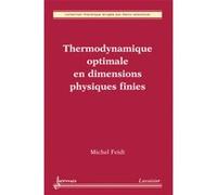 Thermodynamique optimale en dimensions physiques finies Jean-Claude Sabonnadière (Auteur), Michel Feidt (Auteur), Denis Lemonnier (Auteur)