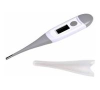 Thermomètre à Lecture Digitale "Bébé" 13cm Gris Gris