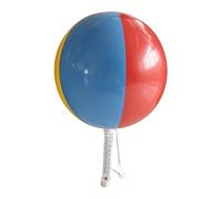 Thermomètre de piscine flottant facile à lire - Jauge de température d'eau robuste, indicateur de haute précision pour spa, capuchon incassable, cordon de serrage en nylon | Pour