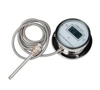 Thermomètre numérique de haute précision avec filetage - Sondes - En acier - Étanche - Pour tuyaux de chaudière - Résistant à la corrosion