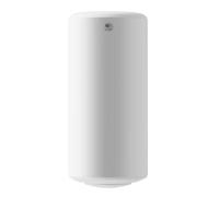 Thermor Chauffe-eau électrique vertical mural 861513 200 L Blanc