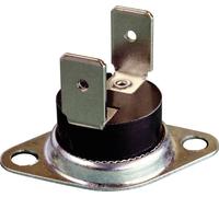 Thermorex TK24-T02-MG01-Ö25-S15 Thermostat bimétallique 250 V 16 A Température d'ouverture (± 5°C) 25 °C Température de fermeture
