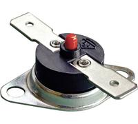 Thermorex TK32-T01-MG01-Ö100- MR Thermostat bimétallique 250 V 16 A Température d'ouverture (± 5°C) 100 °C 1 pc(s)