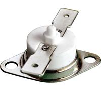 Thermorex TK32-T01-MG01-Ö200- MR Thermostat bimétallique 250 V 16 A Température d'ouverture (± 5°C) 200 °C 1 pc(s)