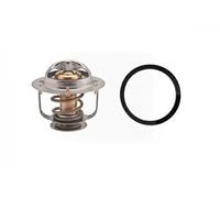 FACET 7.8657 Thermostat d'eau