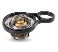Thermostat d'eau SWAG 11 94 7547