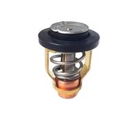 Thermostat 122°C for HPDI 3.1 Z200-225-250-275-300 60V-12411-00-00