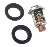 Thermostat 143°F 62°C Compatible avec Les Moteurs Hors-Bord V6 de 135, 150, 175 et 200 CV (références : 75692T3, 66850, 75692, 62981, 18-3672, 75692Q2)