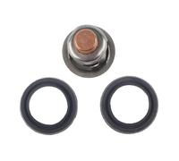 Thermostat 143°F 62°C for 135 150 175 200 CV EFI 2 cylindres V6 75692 75692B2 75692Q2 8M6010302 18-3553 9-43019