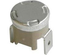 Thermostat 160° Pour Pieces Entretien Du Linge Petit Electromenager Delonghi - 5228103500 G