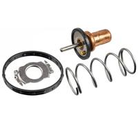 1x Thermostat, liquide de refroidissement FEBI BILSTEIN 172432 convient pour
