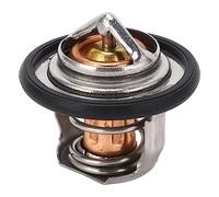Thermostat 180F Remplacement Compatible avec Modeles