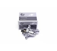 ESEN SKV 20SKV083 Thermostat, liqiuide de refroidissement pour CHEVROLET