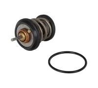 Continental 28.0200-4111.2 Thermostat d'eau