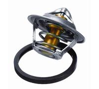 Borgwarner (Wahler) 3017.92D2 Thermostat Liquide pour Opel Ascona Exemple Daewoo