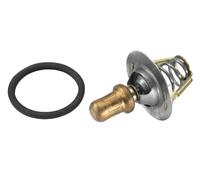 Thermostat 3469.91D BorgWarner (Wahler) pour RENAULT RAPID Camionnette/Monospace