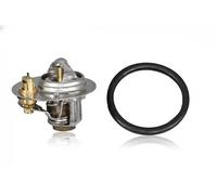 METZGER 4006431 Thermostat d'eau