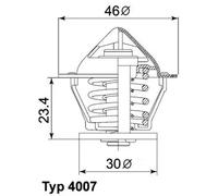 Thermostat d'eau WAHLER 4007.80D