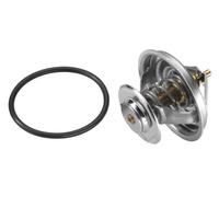 Thermostat 4105.79D BorgWarner (Wahler) pour VW TOUAREG