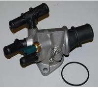 Thermostat d'eau WAHLER 410511.88D
