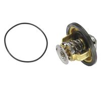 Thermostat 4174.79D BorgWarner (Wahler) pour RENAULT OPEL FIAT IVECO MULTICAR