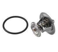 Thermostat d'eau WAHLER 4264.87D