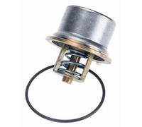 WAHLER 4621.80D Thermostat d'eau